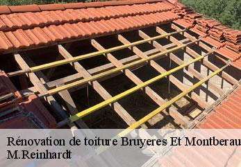 Rénovation de toiture  bruyeres-et-montberault-02860 M.Reinhardt