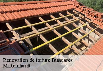 Rénovation de toiture  bussiares-02810 M.Reinhardt
