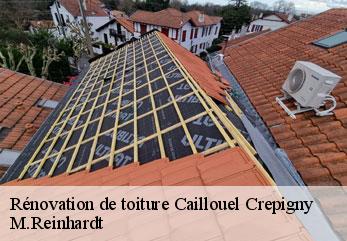 Rénovation de toiture caillouel-crepigny-02300 M.Reinhardt