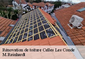 Rénovation de toiture  celles-les-conde-02330 M.Reinhardt