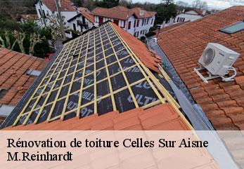 Rénovation de toiture  celles-sur-aisne-02370 M.Reinhardt