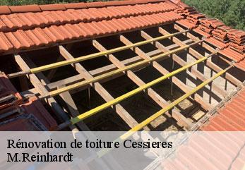 Rénovation de toiture cessieres-02320 M.Reinhardt