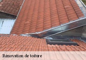 Rénovation de toiture  chateau-thierry-02400 M.Reinhardt