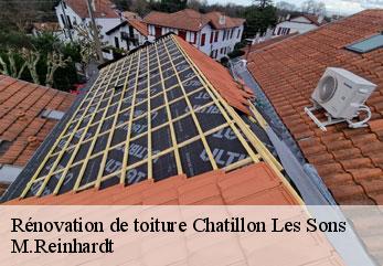 Rénovation de toiture chatillon-les-sons-02270 M.Reinhardt