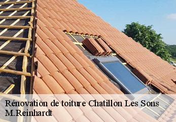 Rénovation de toiture  chatillon-les-sons-02270 M.Reinhardt