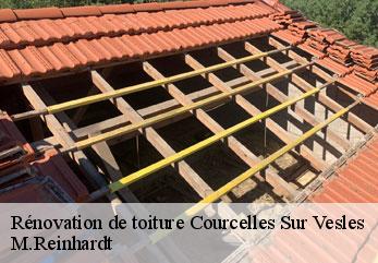 Rénovation de toiture  courcelles-sur-vesles-02220 M.Reinhardt