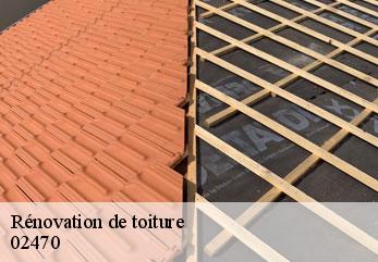 Rénovation de toiture  dammard-02470 M.Reinhardt