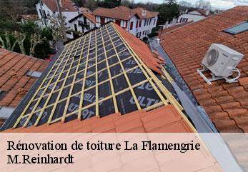 Rénovation de toiture  la-flamengrie-02260 M.Reinhardt