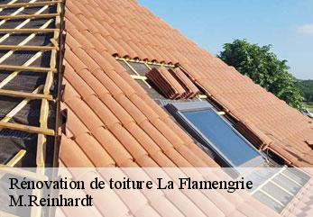 Rénovation de toiture  la-flamengrie-02260 M.Reinhardt