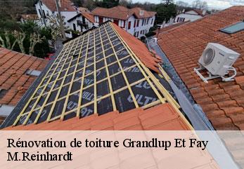 Rénovation de toiture grandlup-et-fay-02350 M.Reinhardt