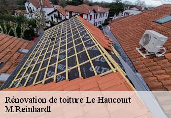 Rénovation de toiture le-haucourt-02420 M.Reinhardt