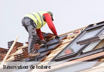 Rénovation de toiture jeantes-02140 M.Reinhardt