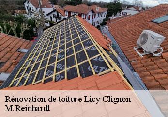 Rénovation de toiture  licy-clignon-02810 M.Reinhardt