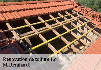 Rénovation de toiture  lor-02190 M.Reinhardt