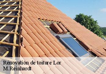 Rénovation de toiture  lor-02190 M.Reinhardt
