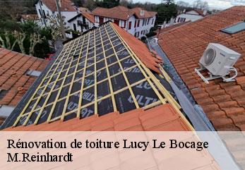 Rénovation de toiture  lucy-le-bocage-02400 M.Reinhardt