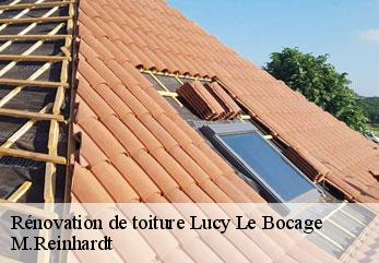 Rénovation de toiture  lucy-le-bocage-02400 M.Reinhardt