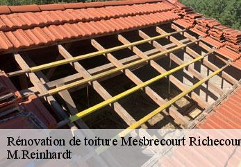 Rénovation de toiture mesbrecourt-richecourt-02270 M.Reinhardt
