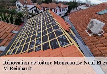 Rénovation de toiture  monceau-le-neuf-et-faucouzy-02270 M.Reinhardt