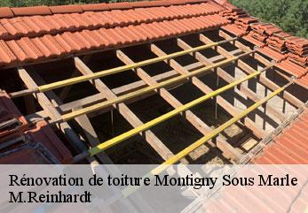 Rénovation de toiture  montigny-sous-marle-02250 M.Reinhardt