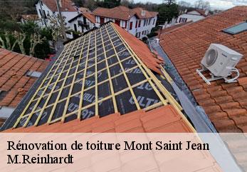 Rénovation de toiture  mont-saint-jean-02360 M.Reinhardt