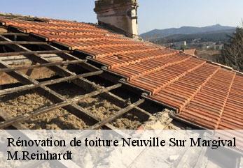 Rénovation de toiture  neuville-sur-margival-02880 M.Reinhardt