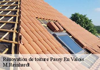 Rénovation de toiture  passy-en-valois-02470 M.Reinhardt