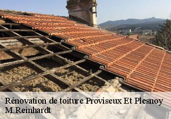 Rénovation de toiture  proviseux-et-plesnoy-02190 M.Reinhardt