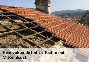 Rénovation de toiture  raillimont-02360 M.Reinhardt