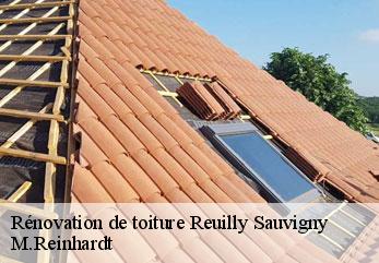 Rénovation de toiture  reuilly-sauvigny-02850 M.Reinhardt