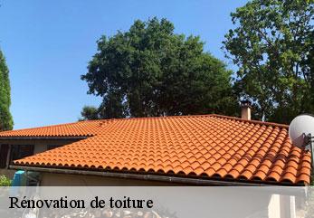 Rénovation de toiture  romeny-sur-marne-02310 M.Reinhardt