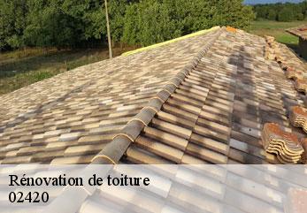 Rénovation de toiture  sequehart-02420 M.Reinhardt